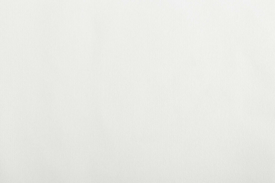 Arctic White