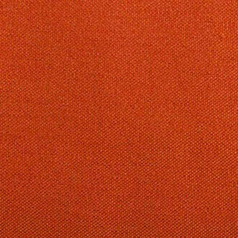 Autumn Orange