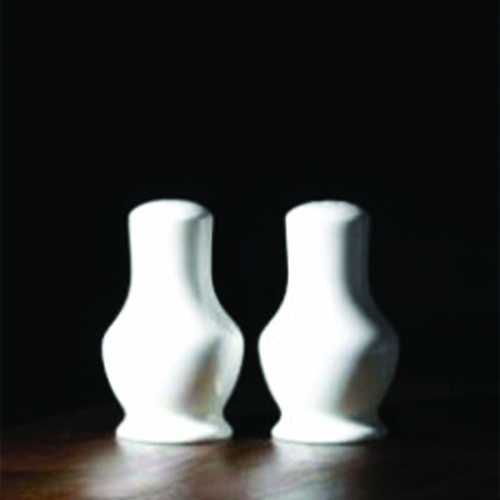 Sussex Fine Bone China Condiment Set